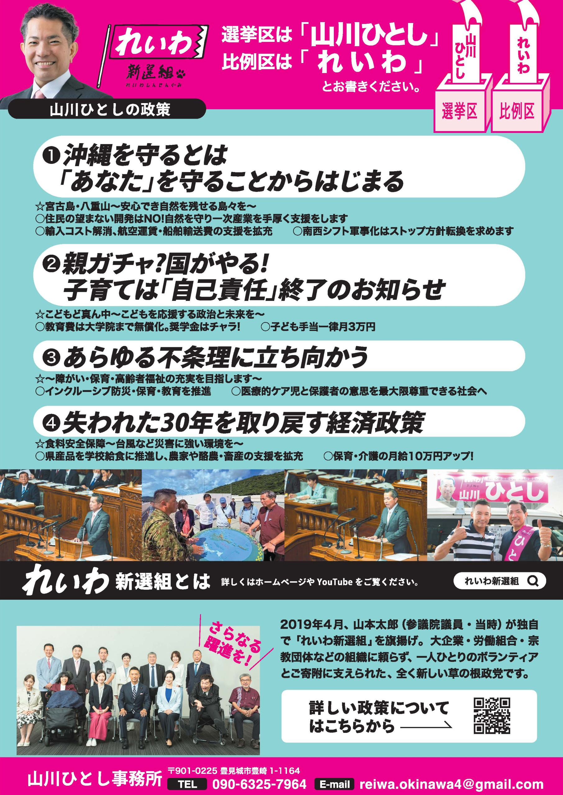 選挙チラシ・ウラ