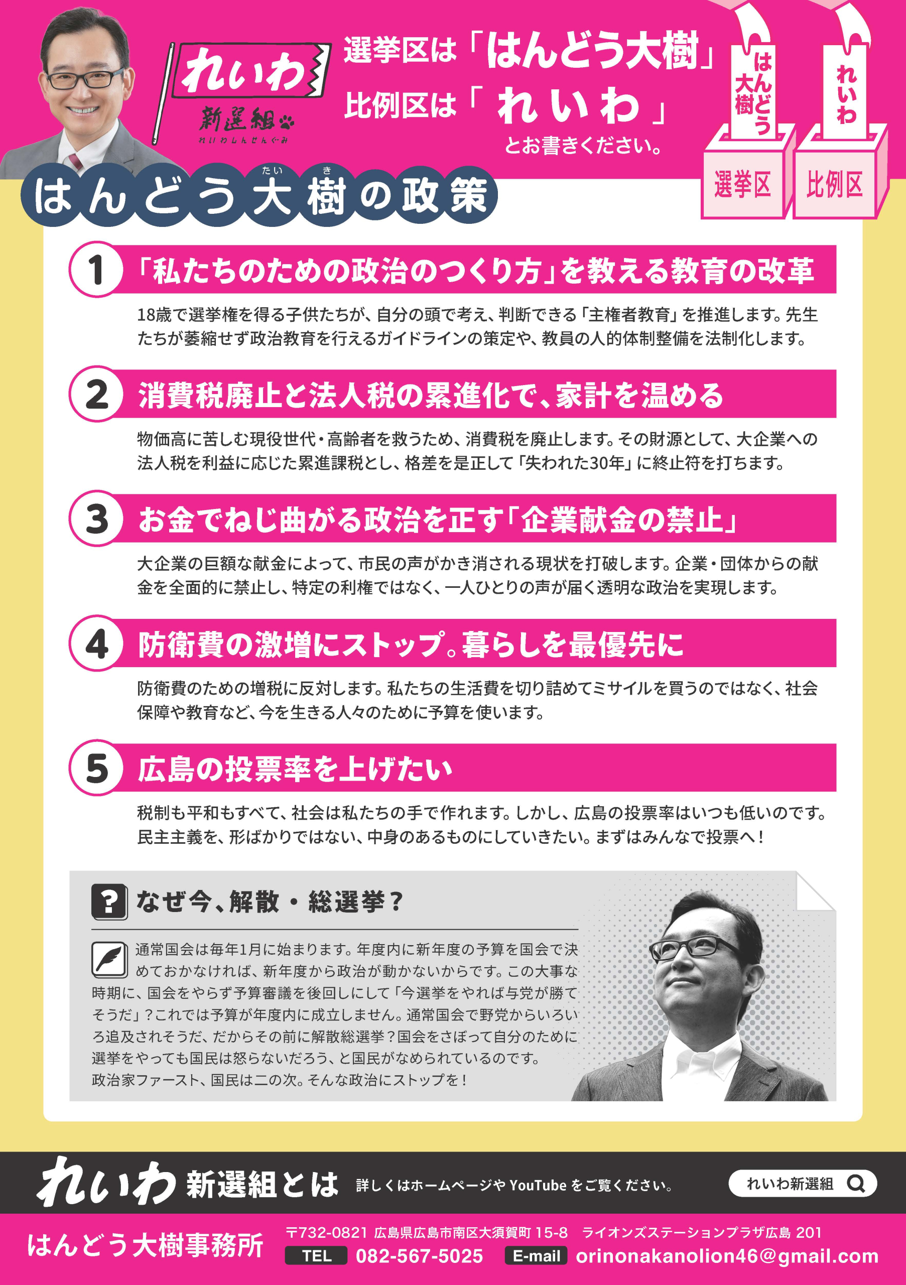 選挙チラシ・ウラ