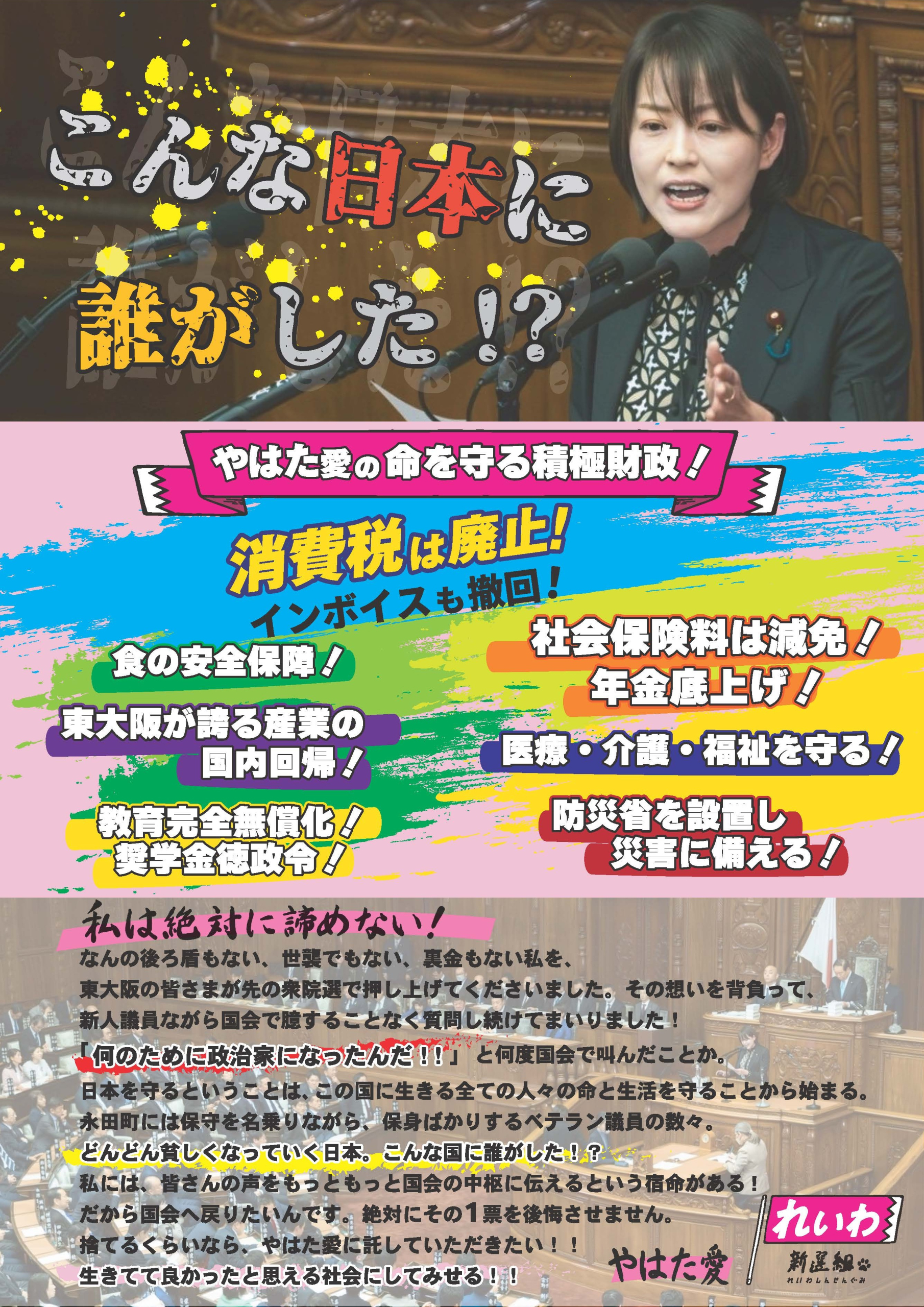 選挙チラシ・ウラ